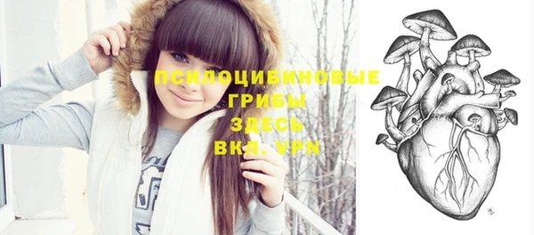 индика Абдулино
