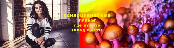 индика Абдулино