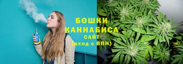 индика Абдулино
