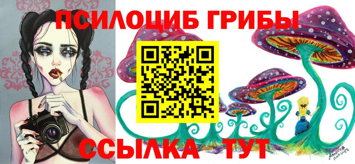 Таганрог  Галлюциногенные грибы Psilocybine cubensis  Вход с VPN 